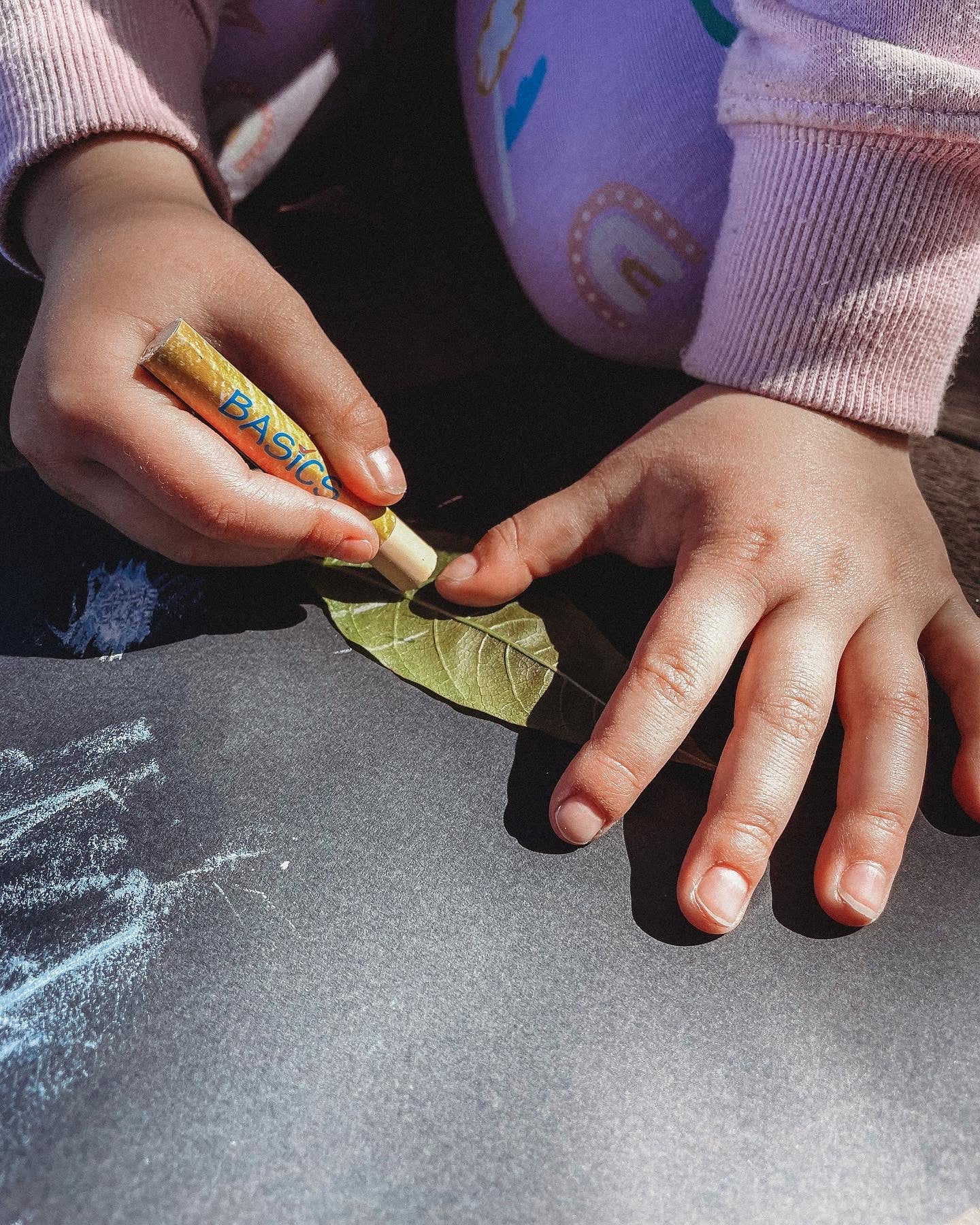 Oil Pastels - Skin Tone