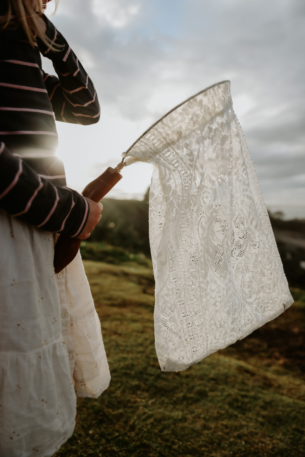 Butterfly Net