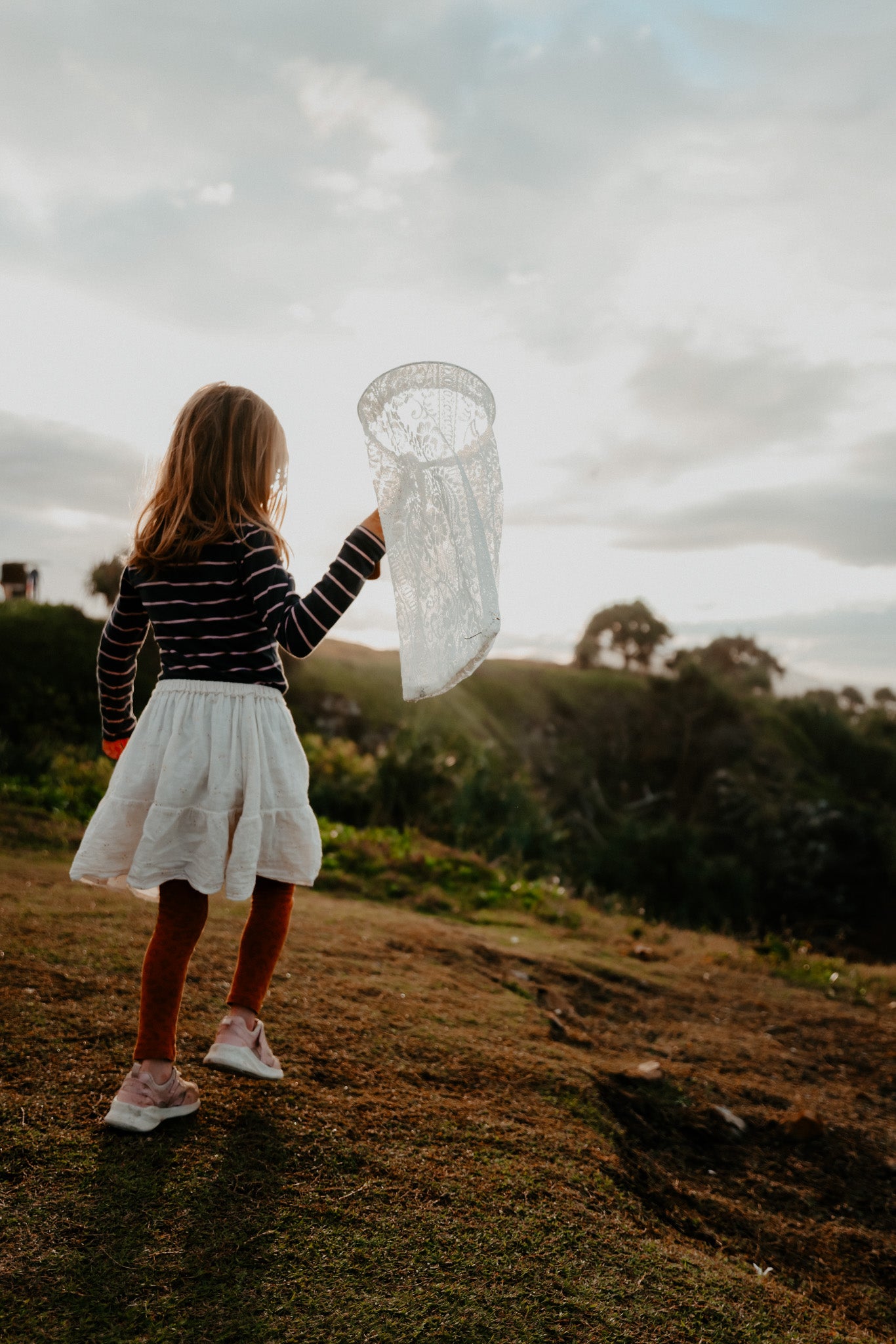 Butterfly Net