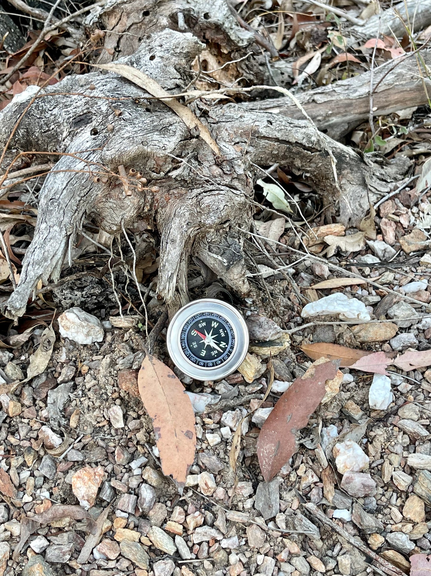 Compass