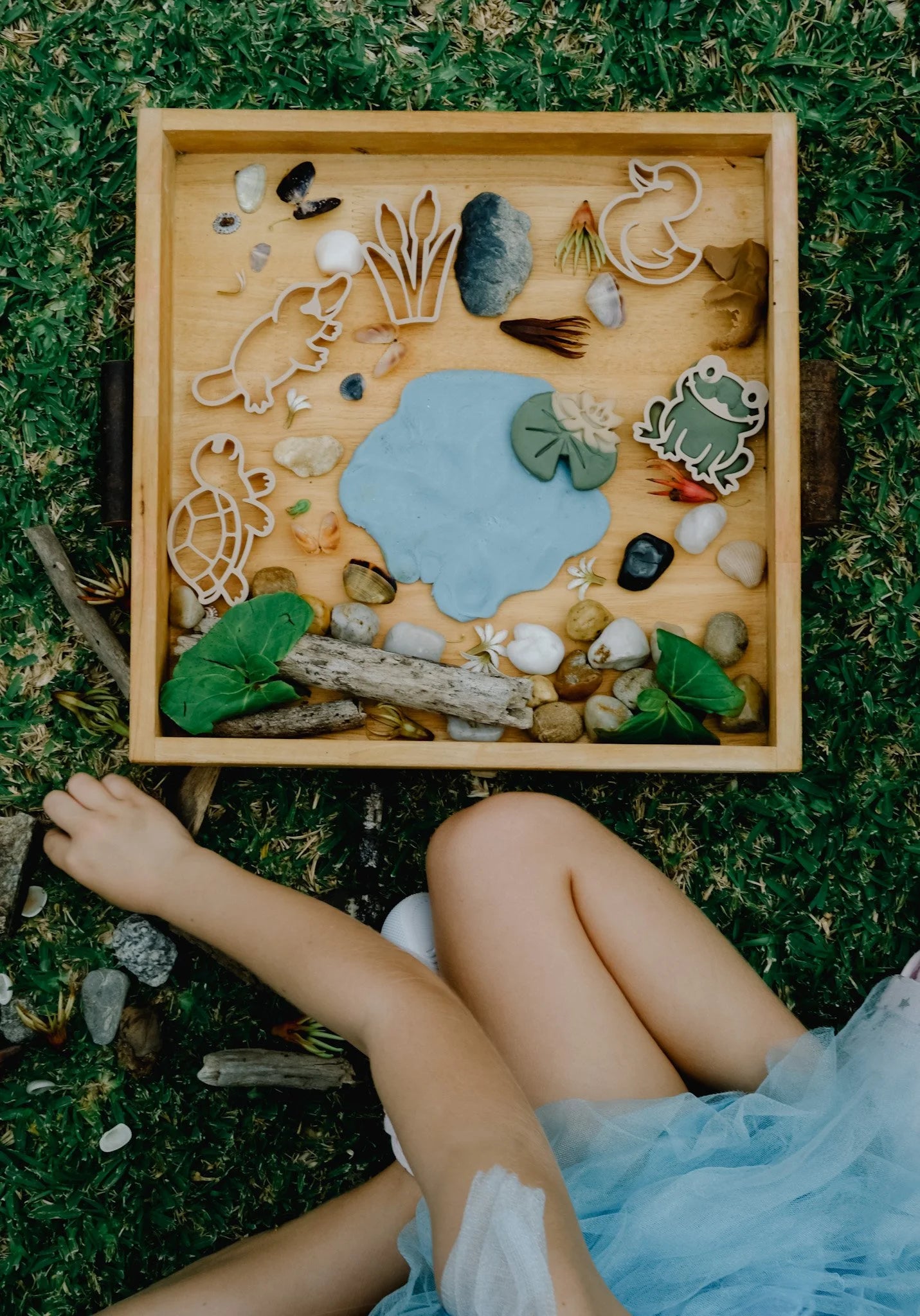Pond Life Eco Cutter Set (6)