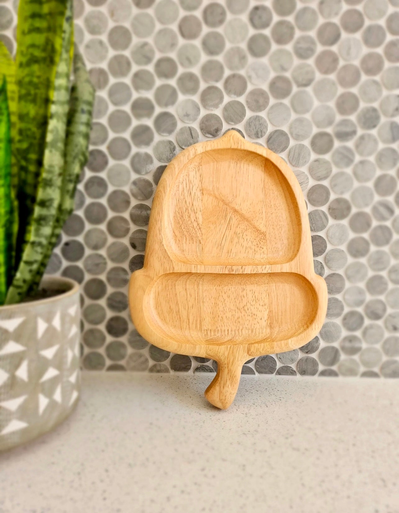 Acorn Tray
