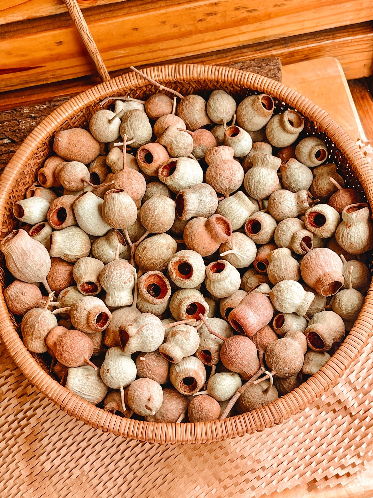 Gumnuts