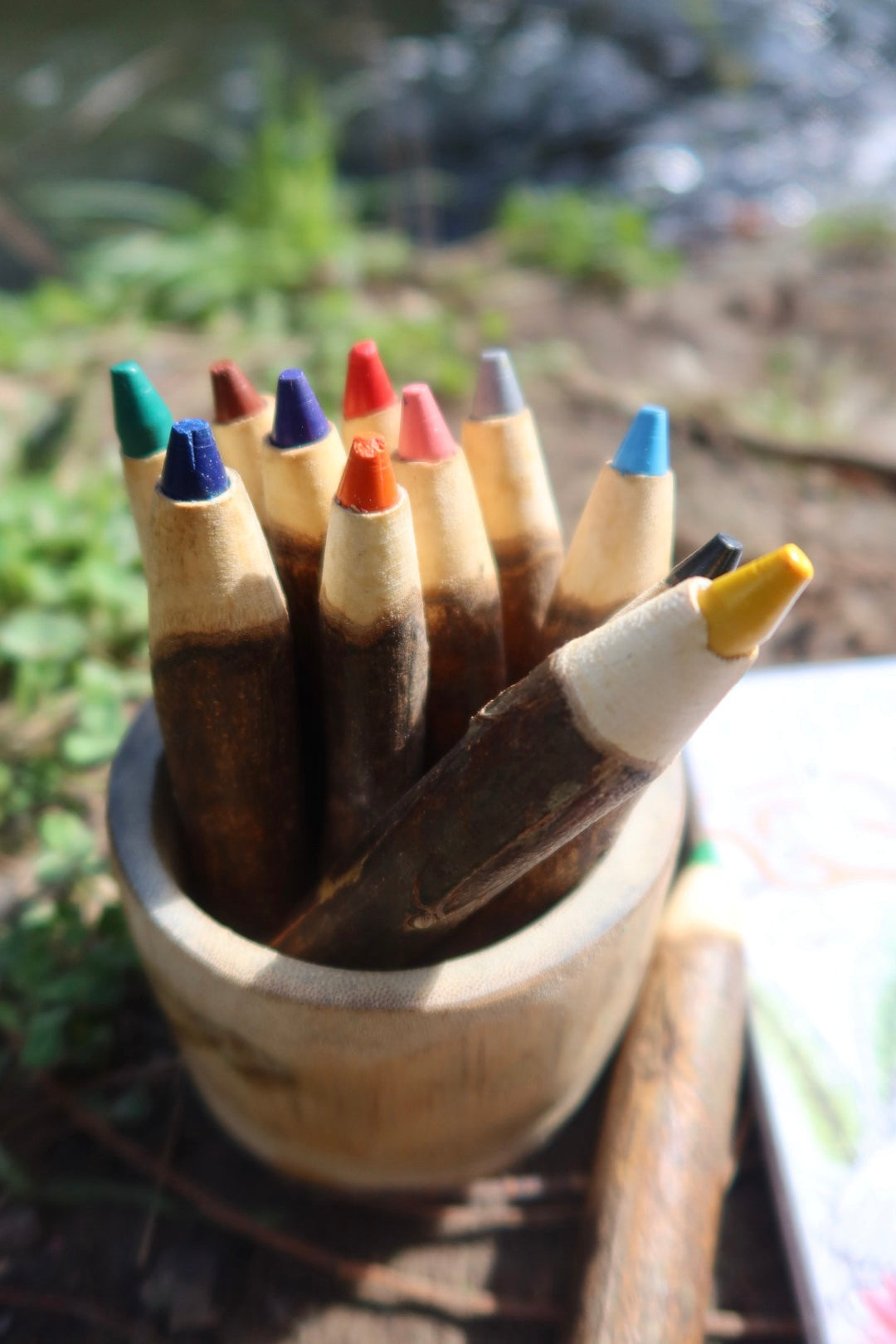 Tree Crayon colour Set