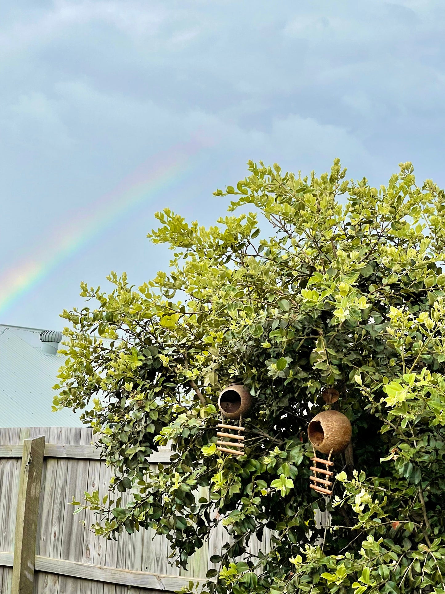 Hanging Fairy House