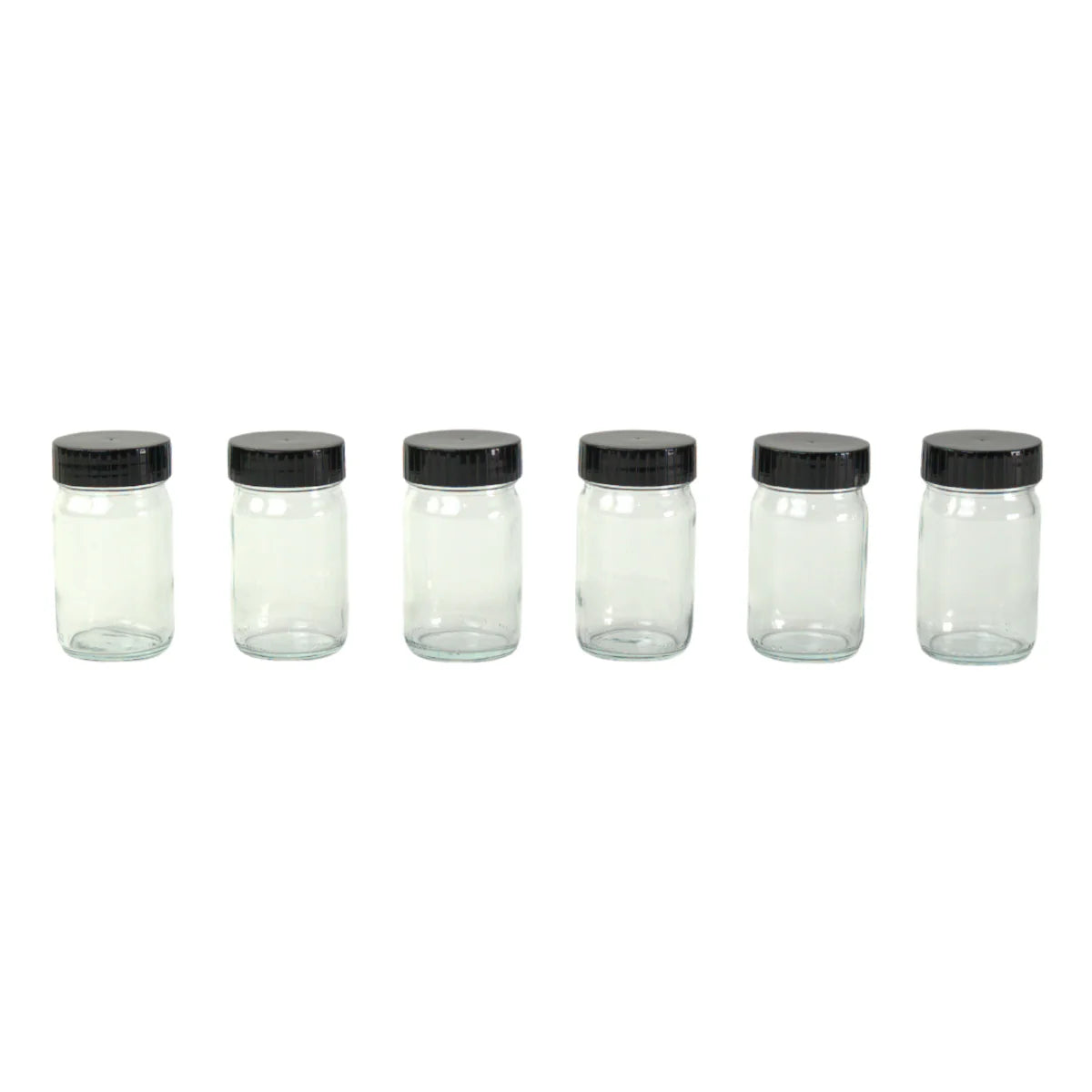 Paint Jars w Lids - 100ml