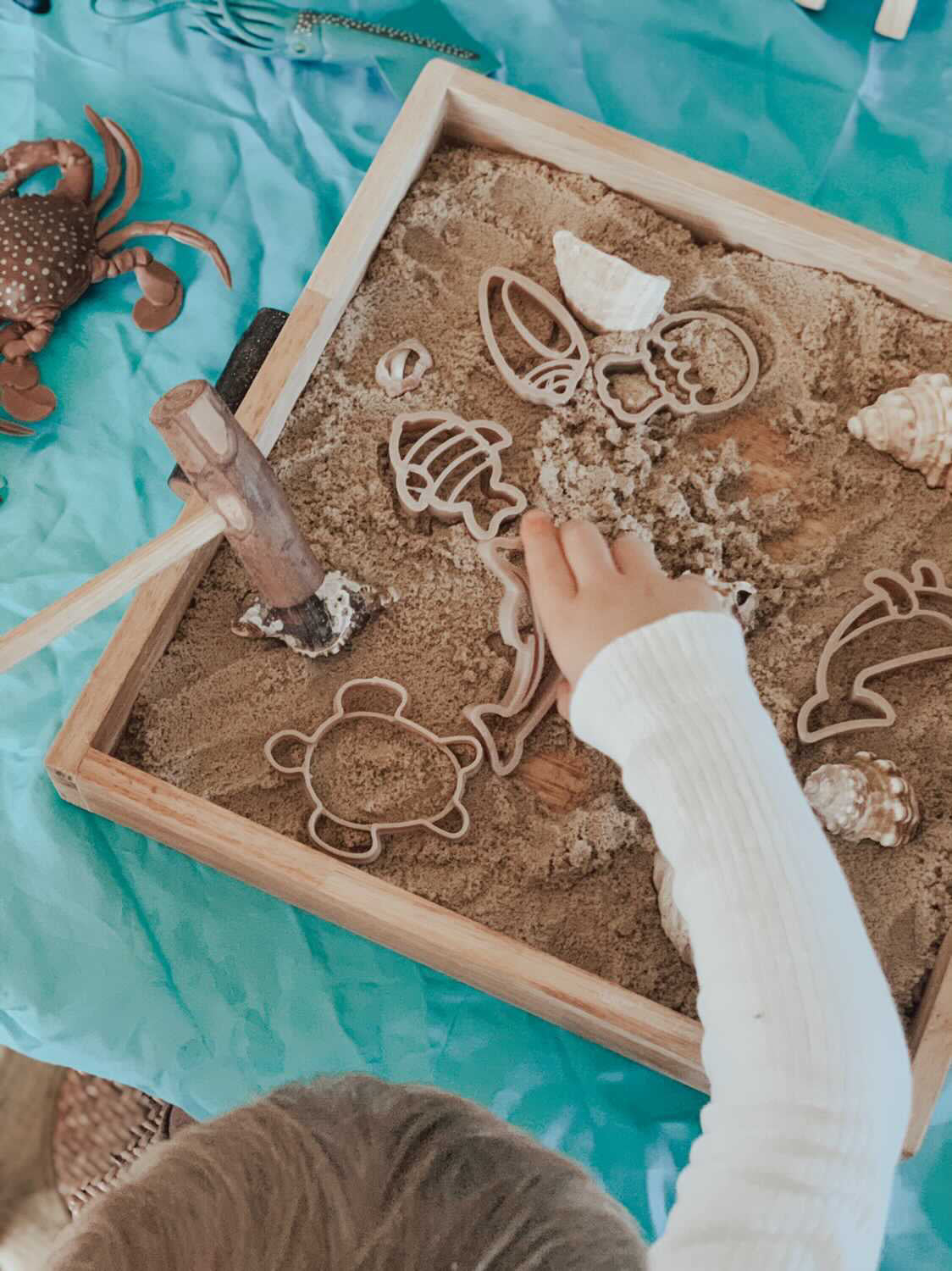 Under the Sea Mini Eco Cutters- Set of 6