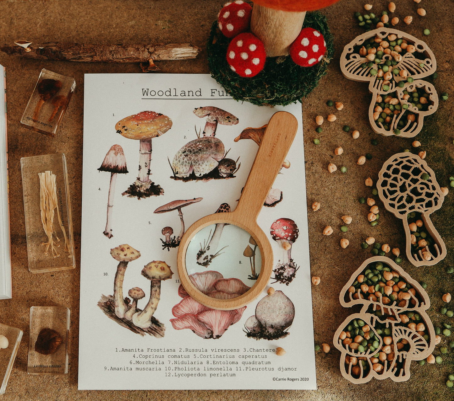 Mushroom Eco Cutters