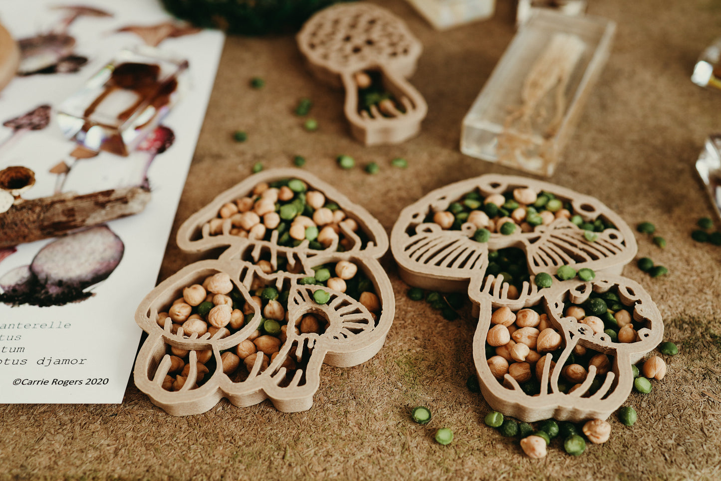 Mushroom Eco Cutters