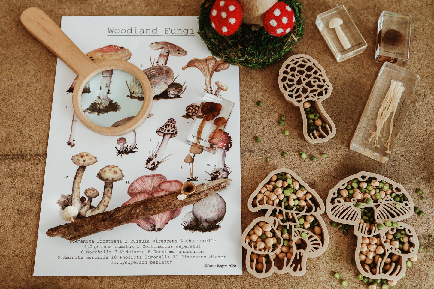Mushroom Eco Cutters
