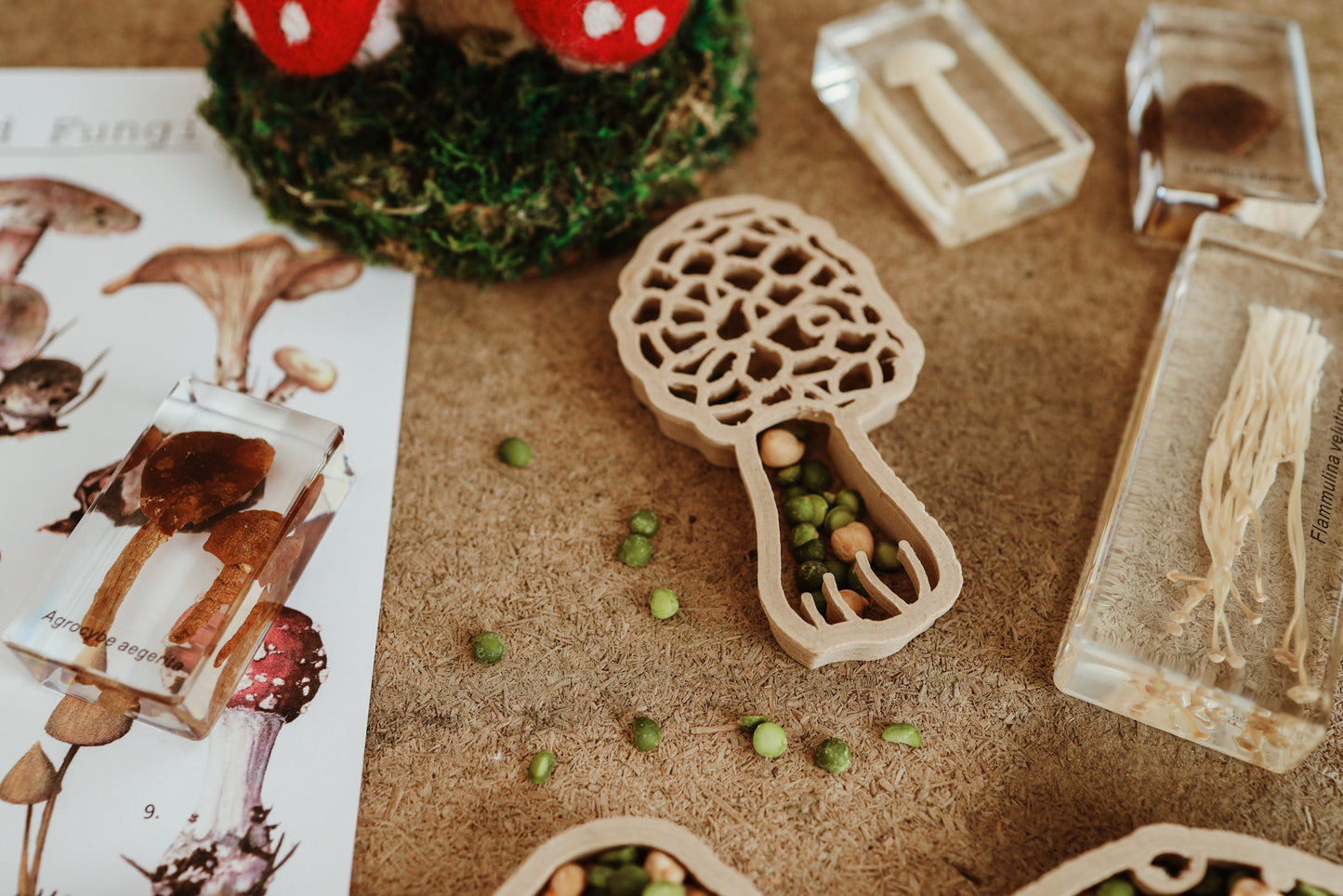 Mushroom Eco Cutters