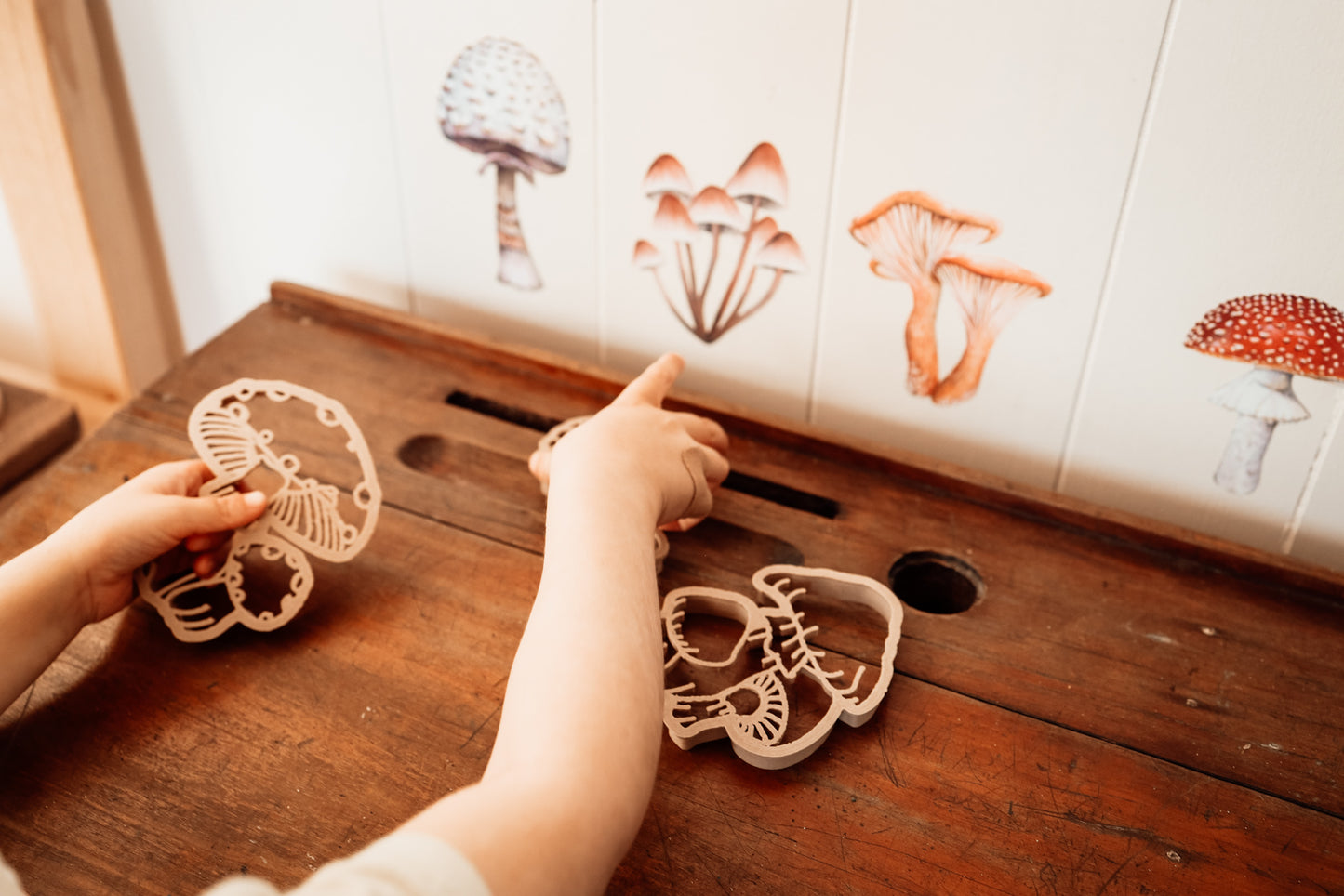 Mushroom Eco Cutters