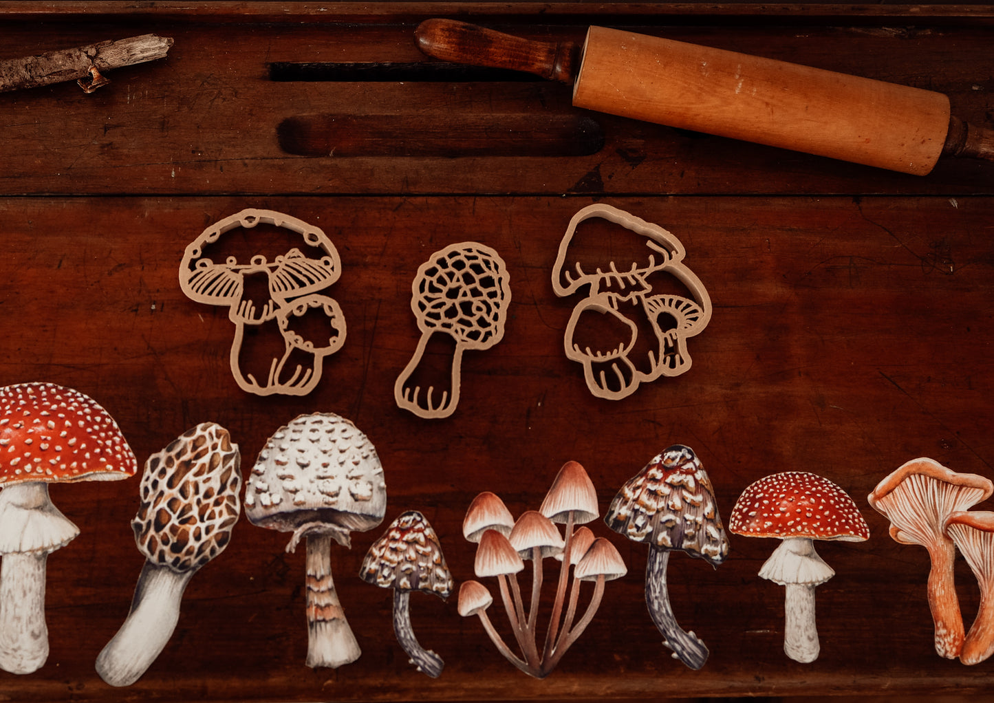 Mushroom Eco Cutters