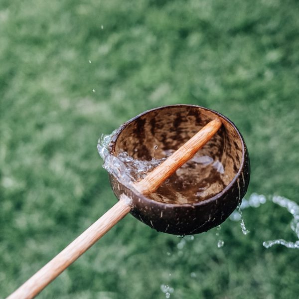 Coconut Water Scoop- Large