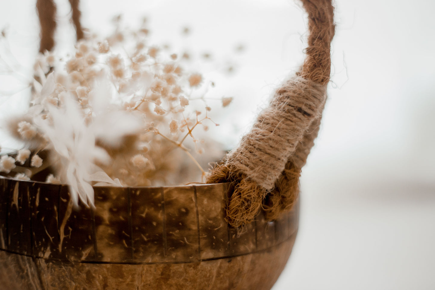 Coconut Basket