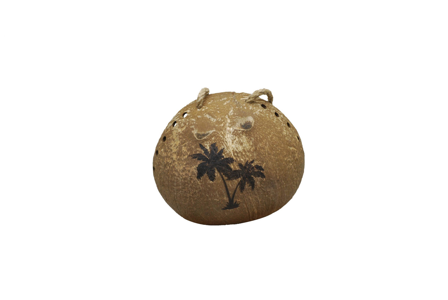 Coconut Bird Feeder