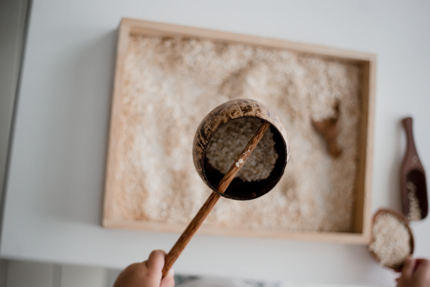 Coconut Scoop- Small
