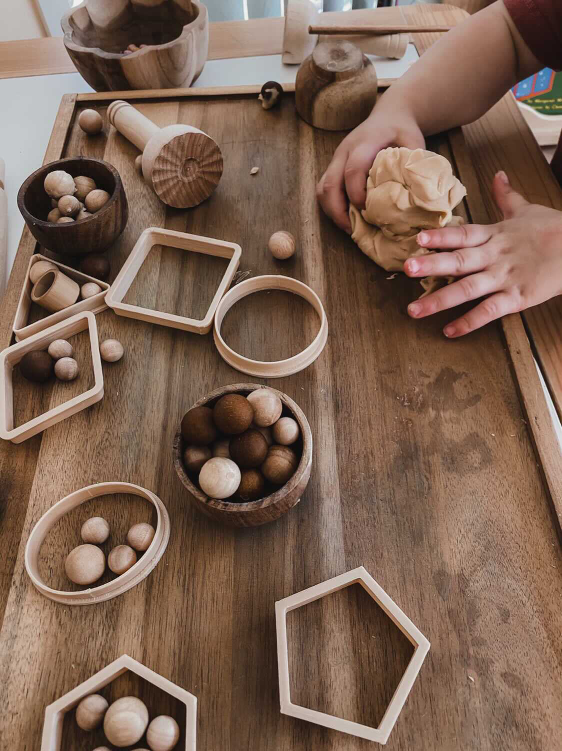 Shape Eco Cutters- Set of 7