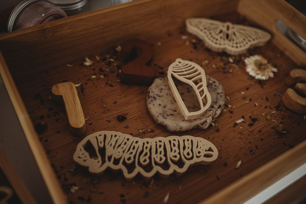 Monarch Butterfly Life Cycle Eco Cutter Set