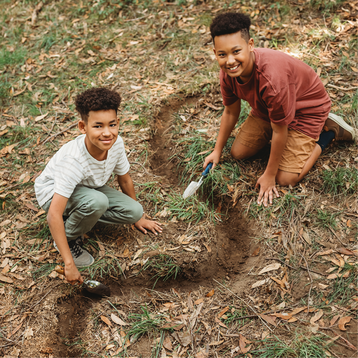 Wild Projects for Families- Book 4 Of the Nature Craft Series