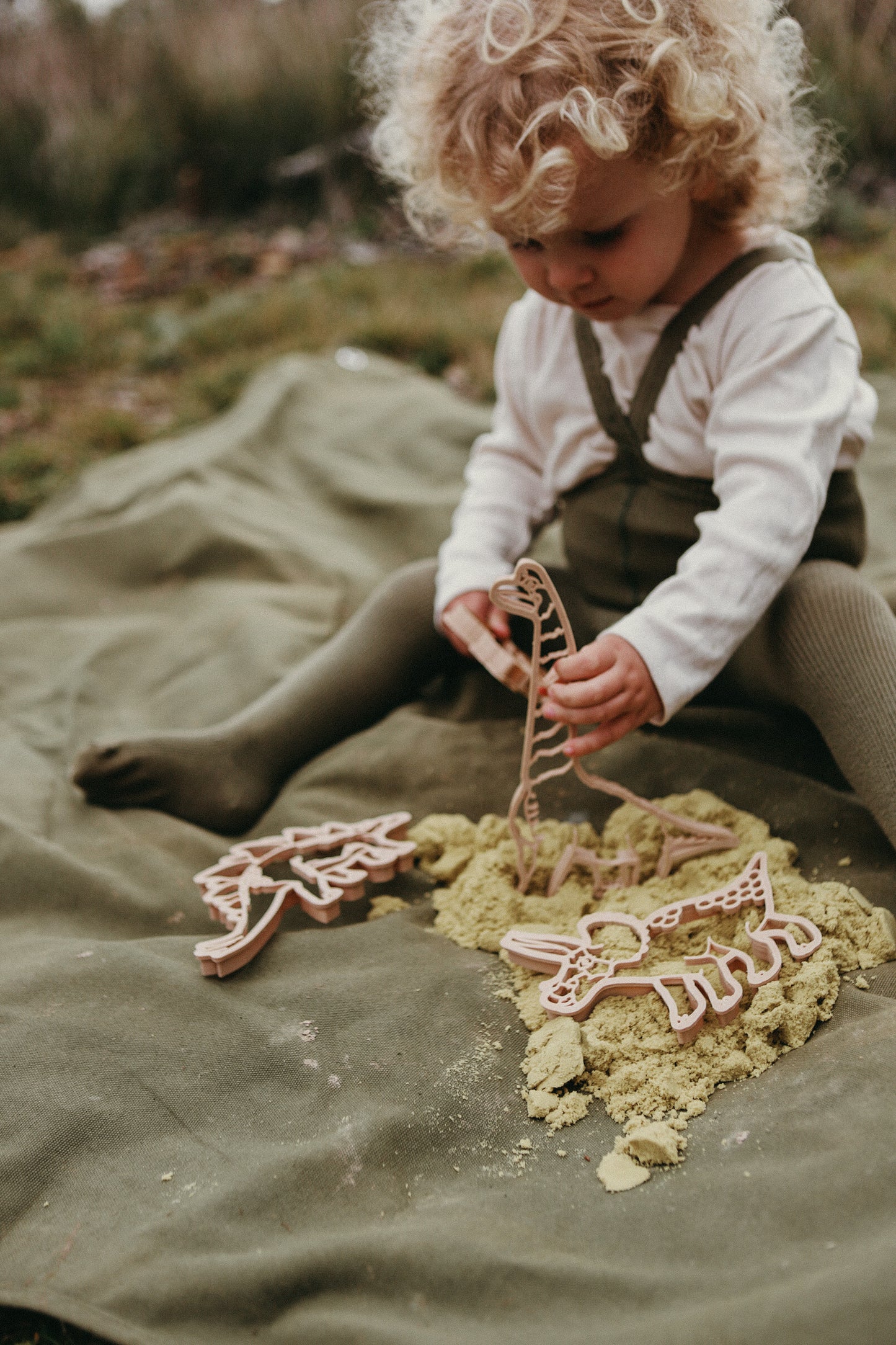 Triceratops Dino Eco Cutter