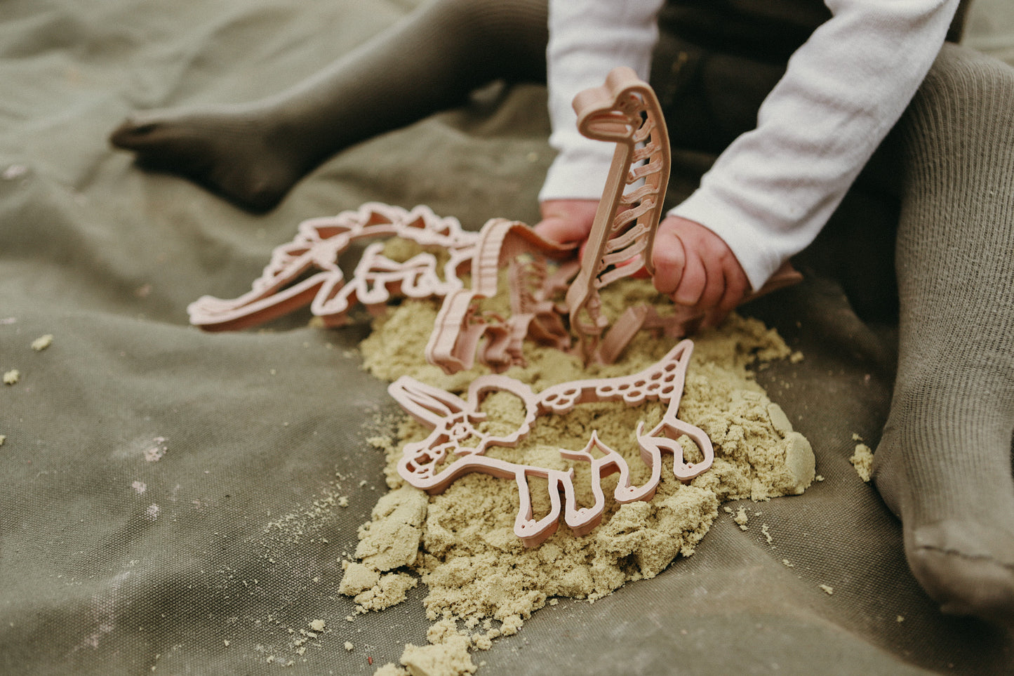 Diploducus Dino Eco Cutter