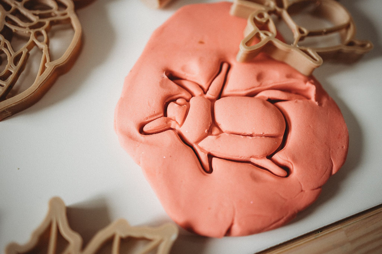 @demifraserphotgraphy