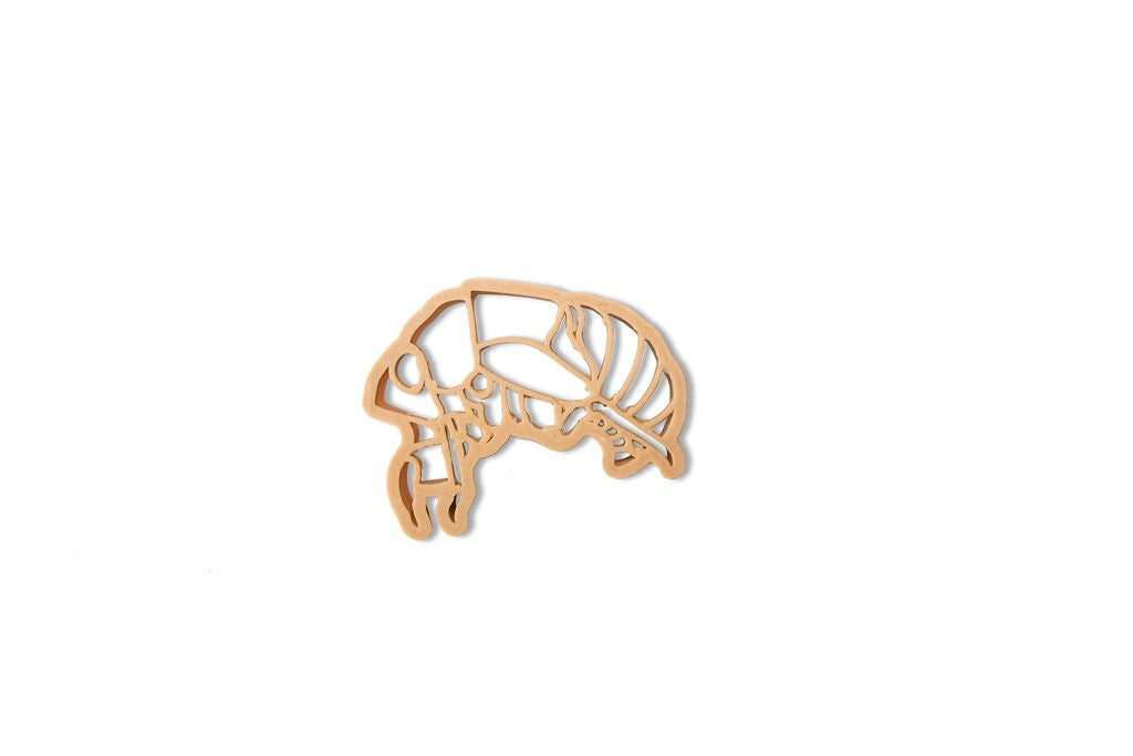 Cicada Eco Cutter Set