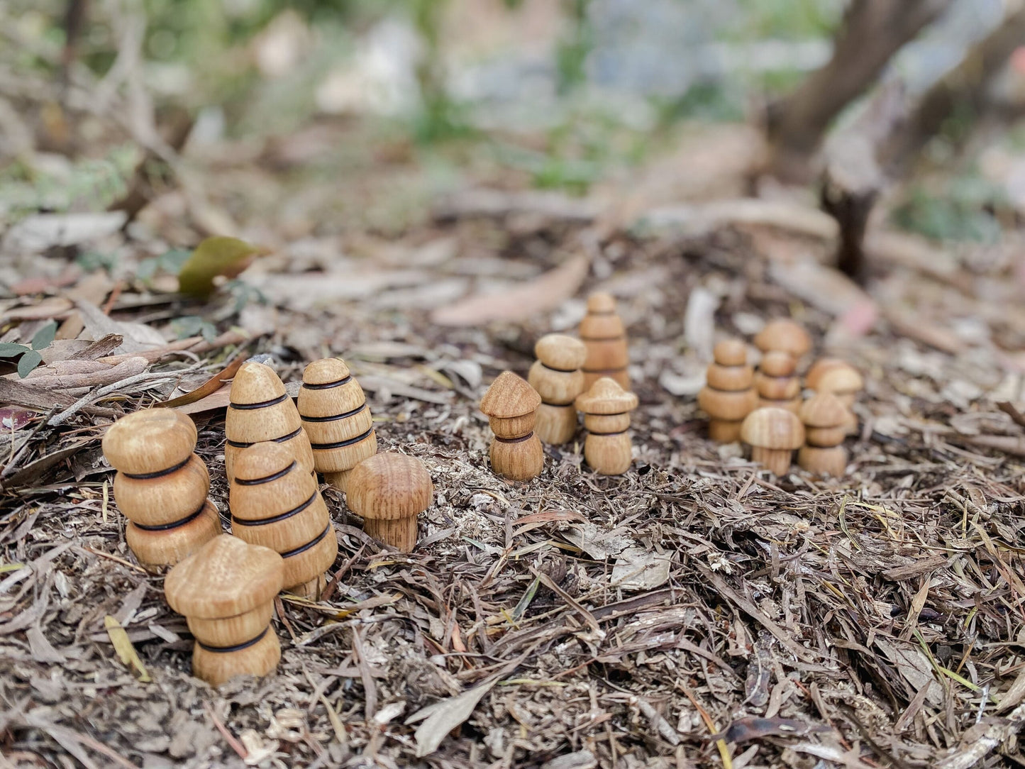 Small World- Diverse Wood Figurine Set