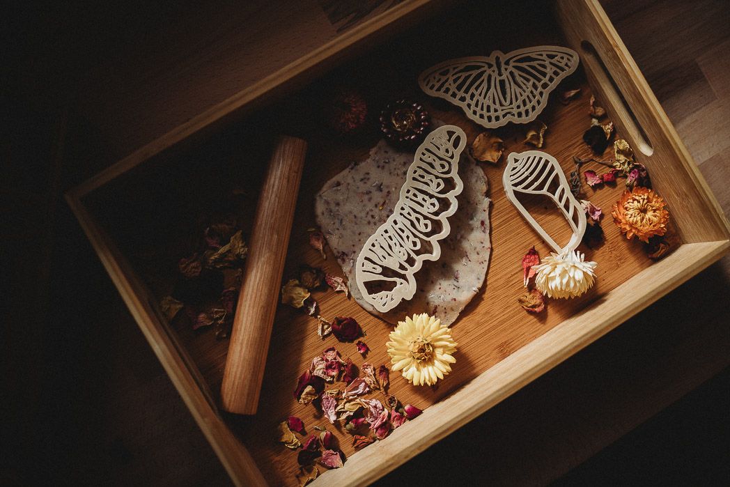 Monarch Butterfly Life Cycle Eco Cutter Set