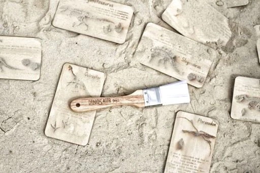 Dinosaur Digs Fossil Cards
