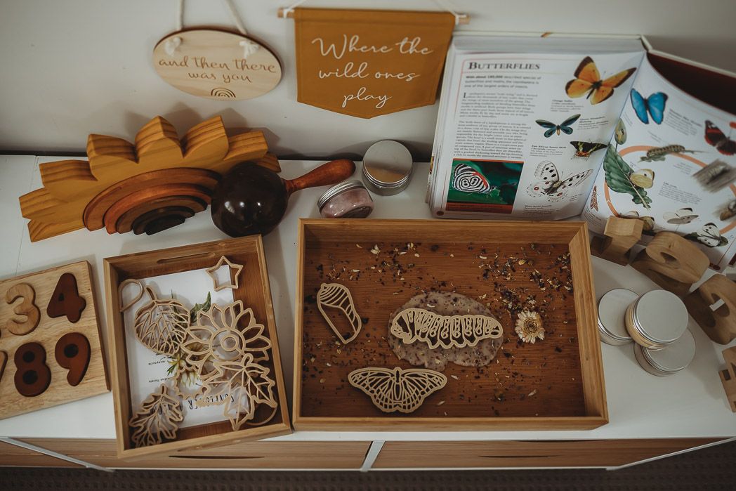 Monarch Butterfly Life Cycle Eco Cutter Set