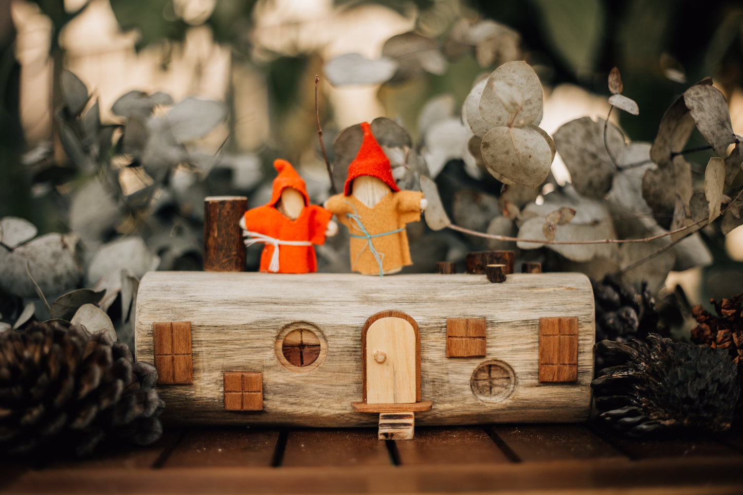 Steiner inspired Log House