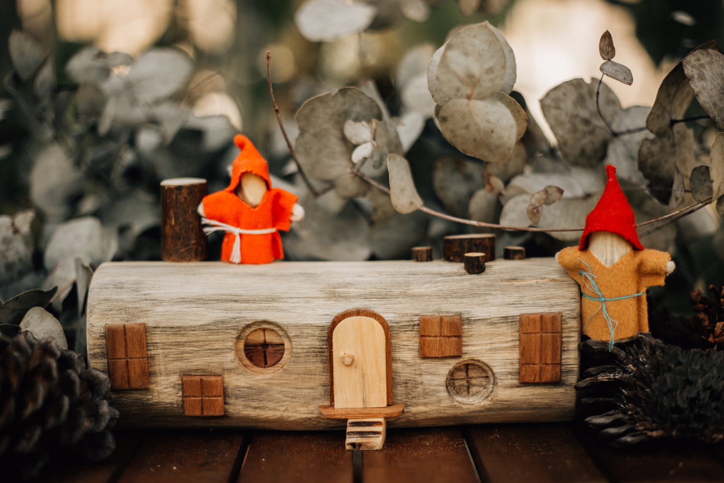 Steiner inspired Log House