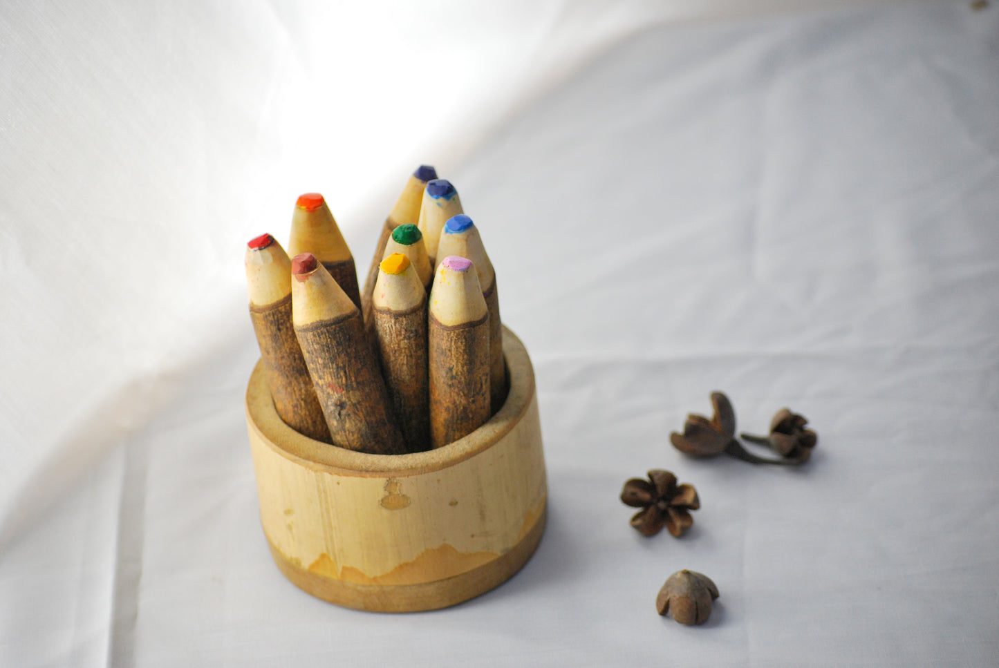 Tree Crayon colour Set