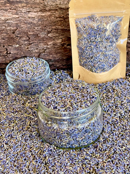Dried Blooms- Lush Lavender