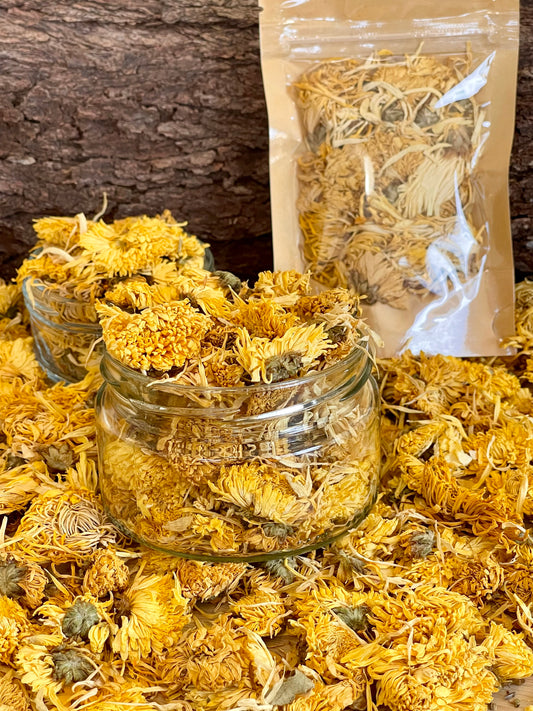 Dried Blooms- Sunshine