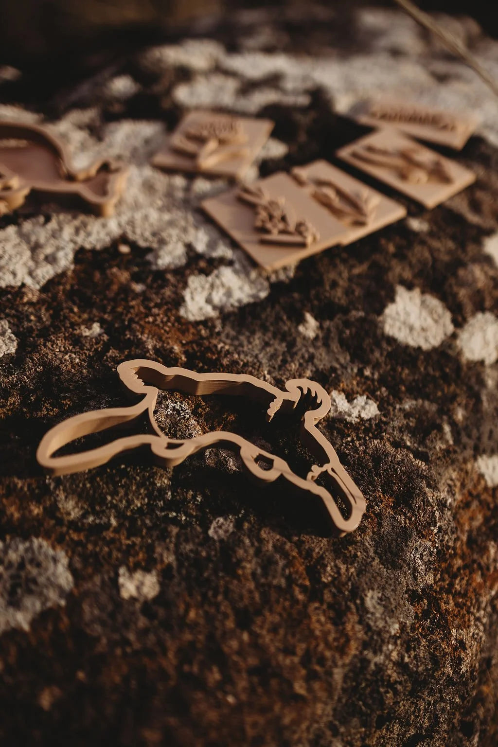 Australian Wildlife Eco Cutter set