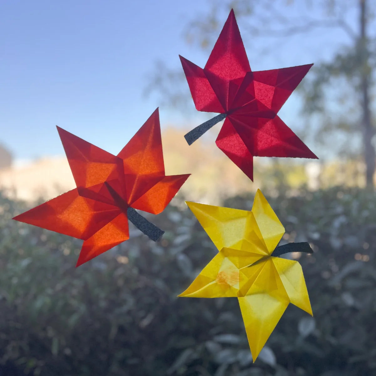 Window Star Folding Paper - Wax-like Kite Paper - 40gsm Assorted Rainbow Colour