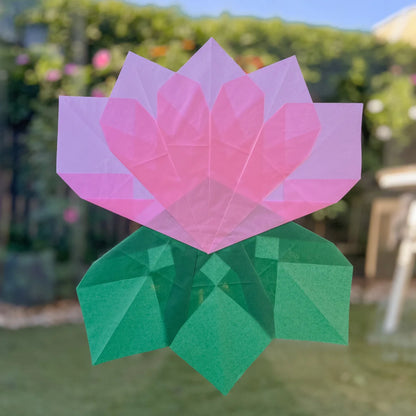 Window Star Folding Paper - Wax-like Kite Paper - 40gsm Assorted Rainbow Colour