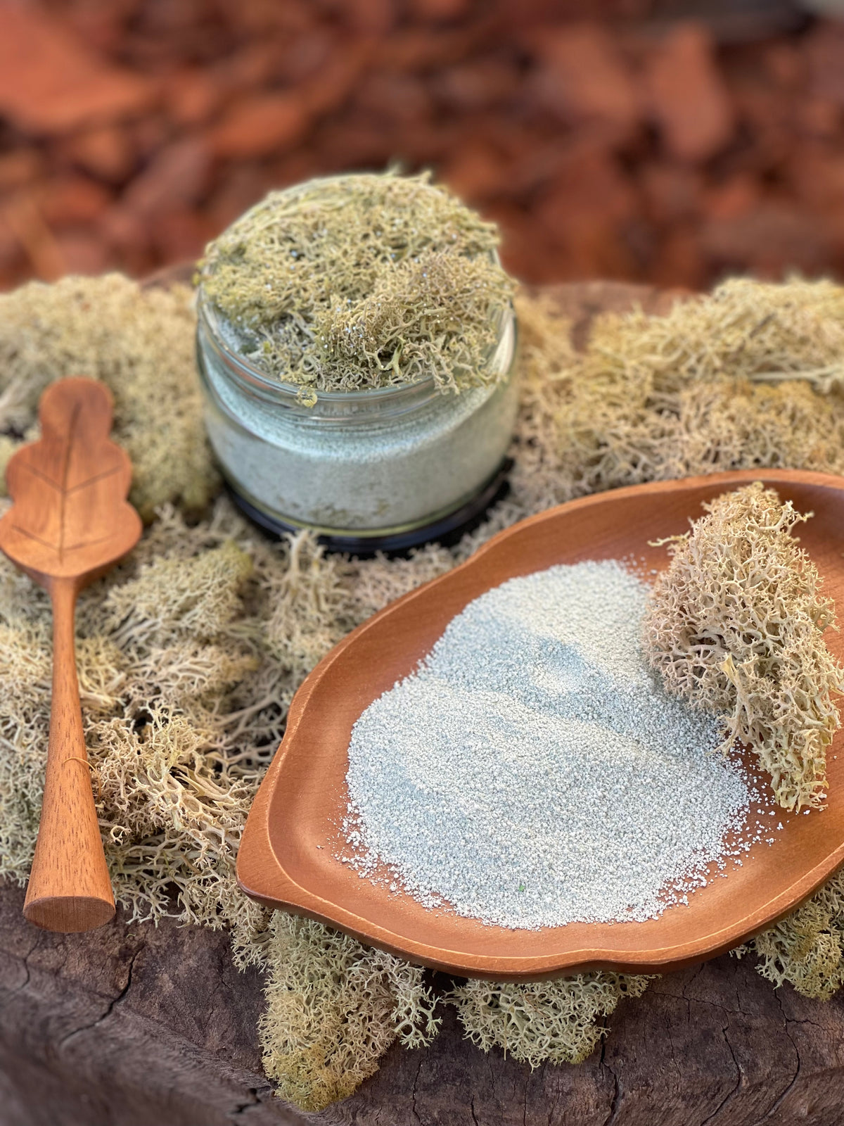 Forest Moss Wish Fizz - Earth Moss