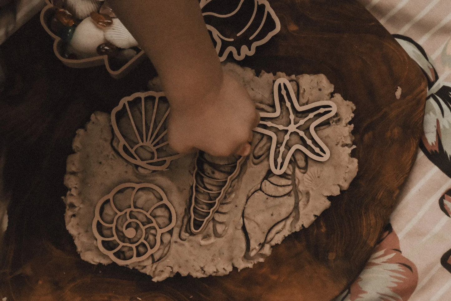 Sea Shell Eco Cutter Set