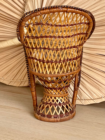 Wicker Plant Chair