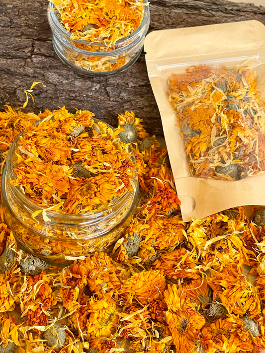 Dried Blooms-  Marigold