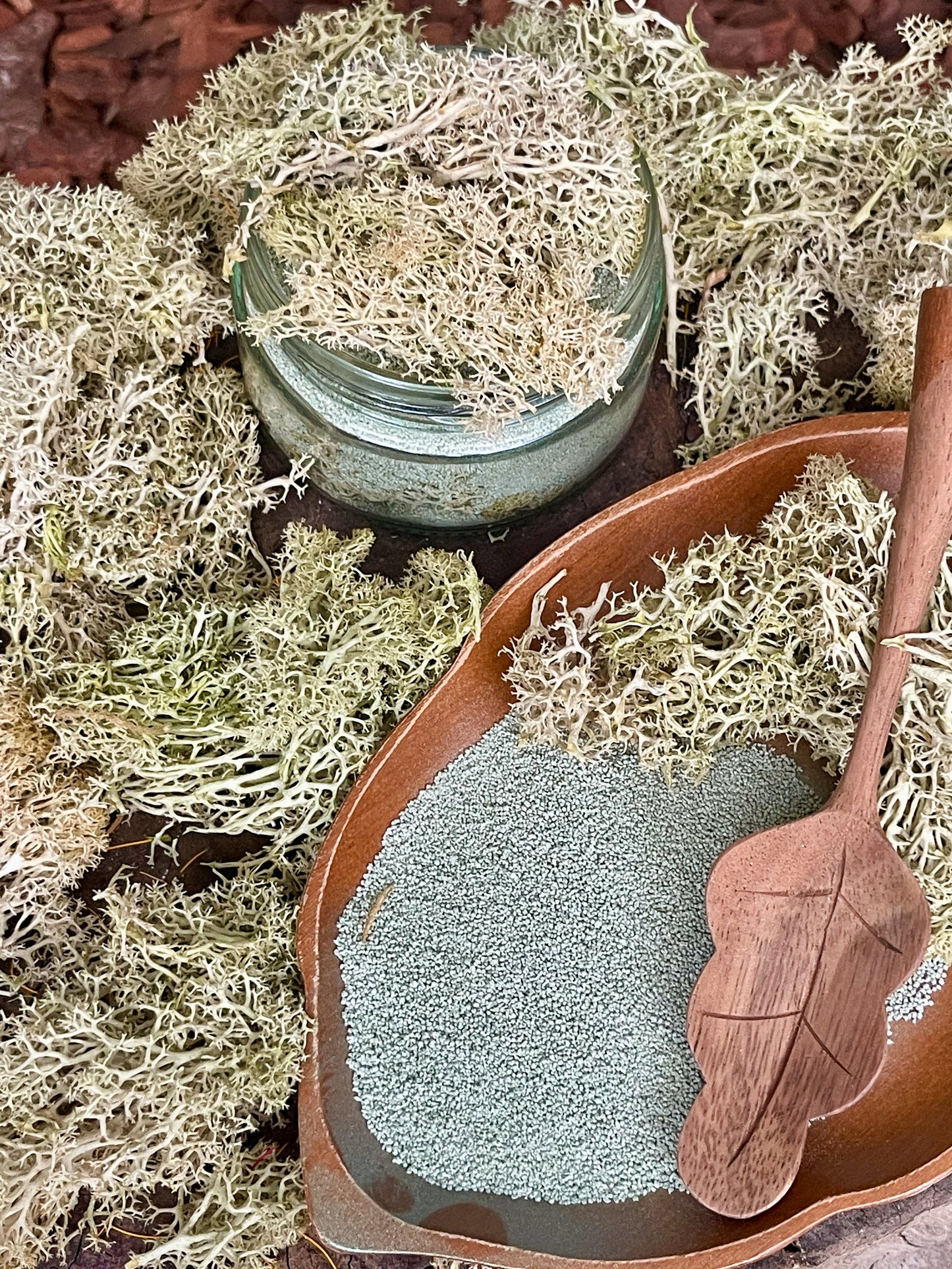 Forest Moss Wish Fizz - Fern