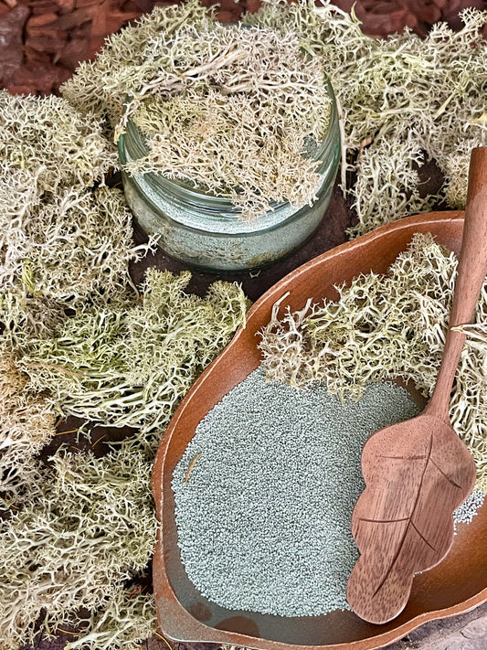 Forest Moss Wish Fizz - Fern