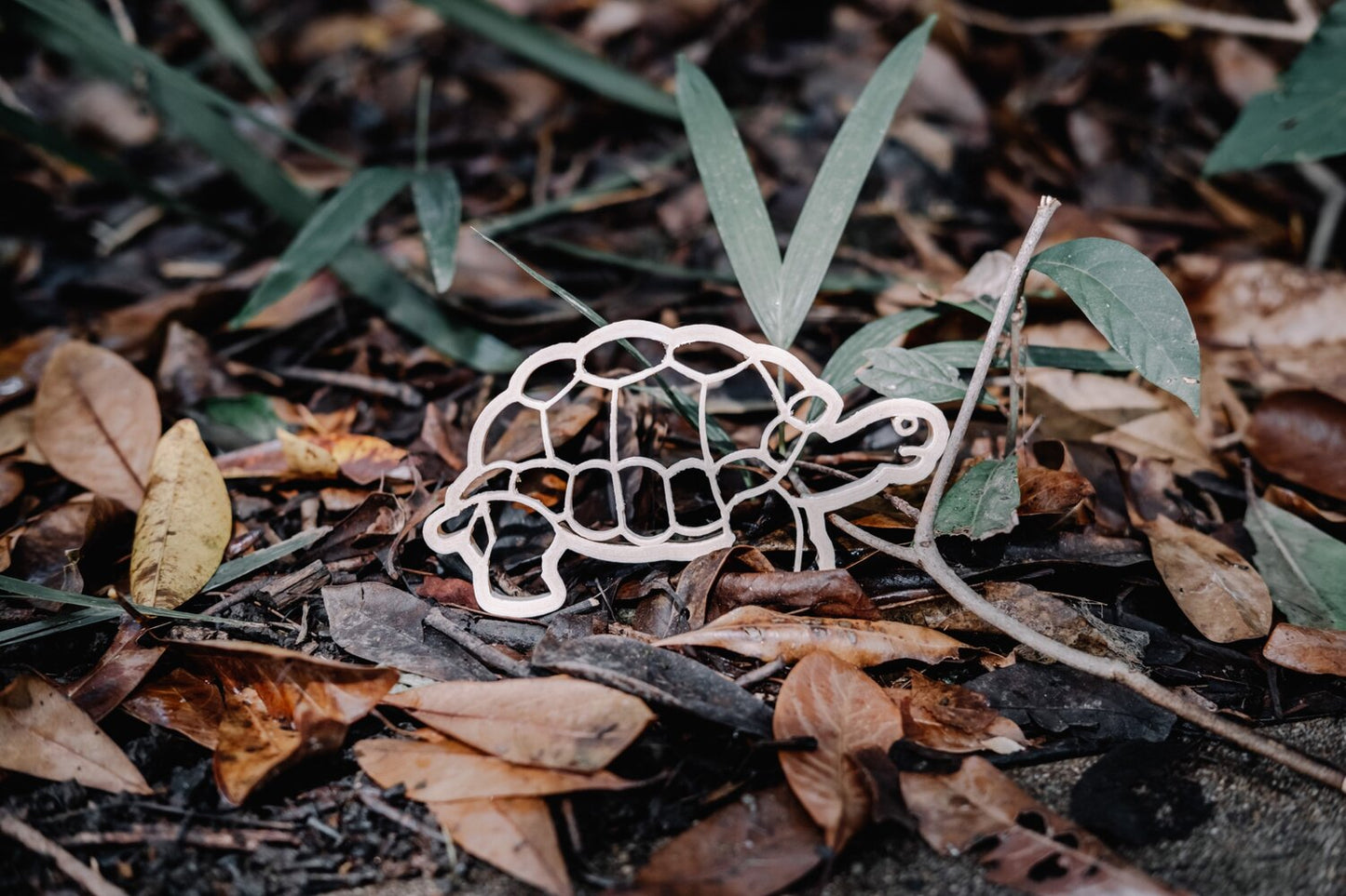 Tortoise Eco Cutter