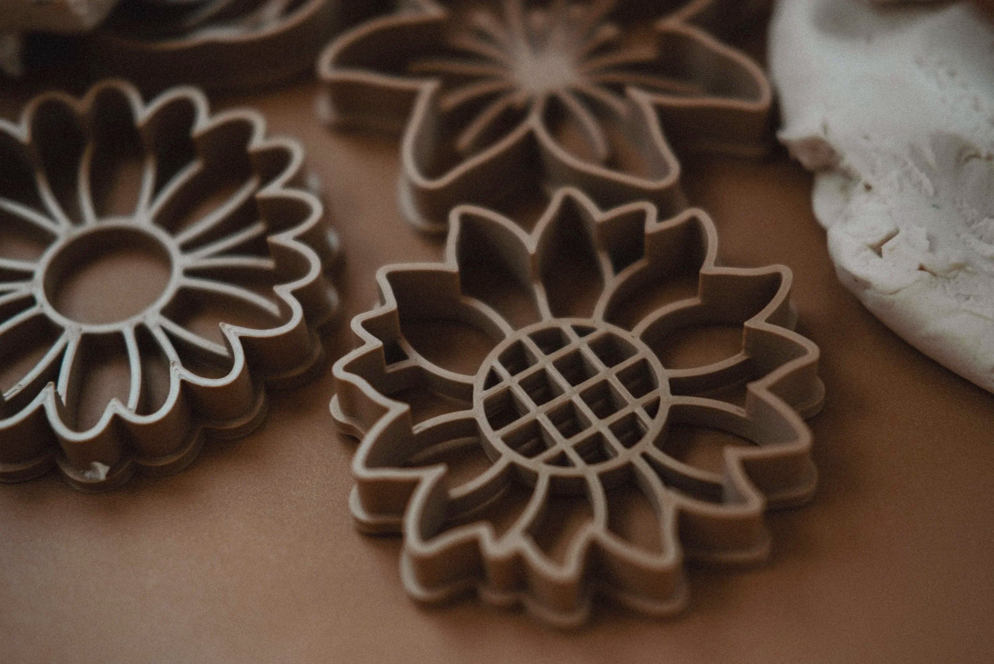 Mixed Flower Eco Cutter Set