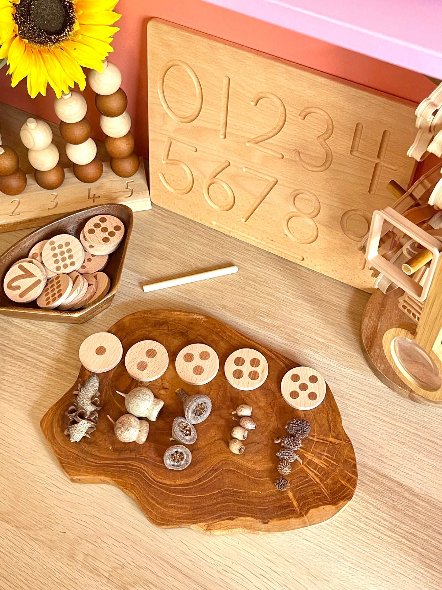 Number Counting and Subitising Discs 1 - 20