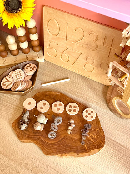 Number Counting and Subitising Discs 1 - 20